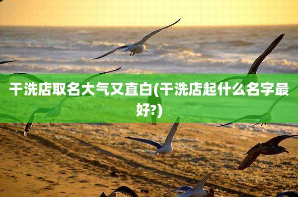干洗店取名大气又直白(干洗店起什么名字最好?)