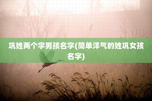 巩姓两个字男孩名字(简单洋气的姓巩女孩名字)