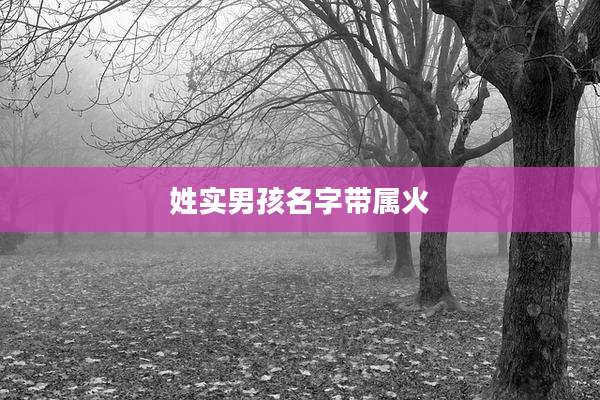 姓实男孩名字带属火