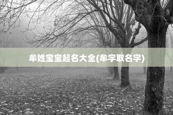 牟姓宝宝起名大全(牟字取名字)
