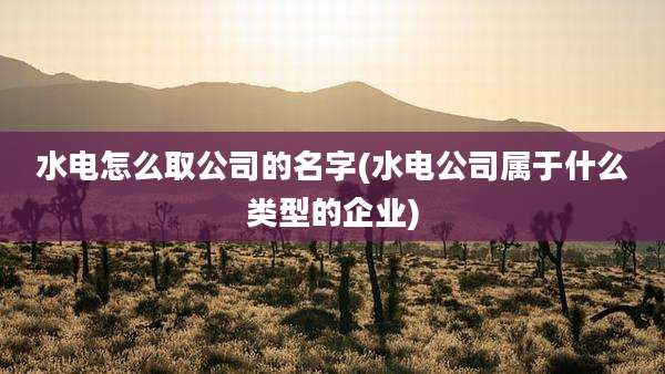 水电怎么取公司的名字(水电公司属于什么类型的企业)