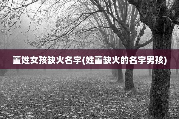 董姓女孩缺火名字(姓董缺火的名字男孩)