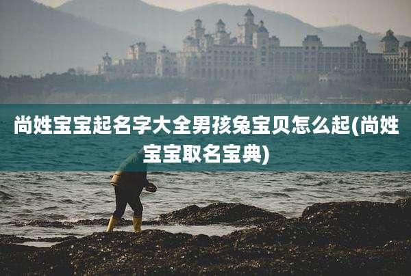 尚姓宝宝起名字大全男孩兔宝贝怎么起(尚姓宝宝取名宝典)