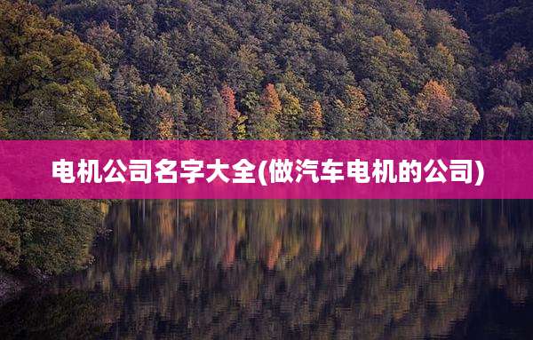 电机公司名字大全(做汽车电机的公司)