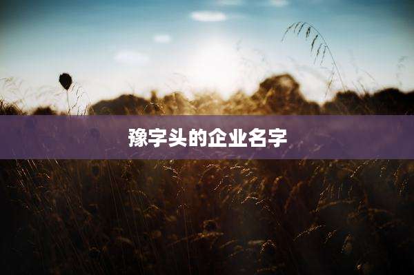 豫字头的企业名字