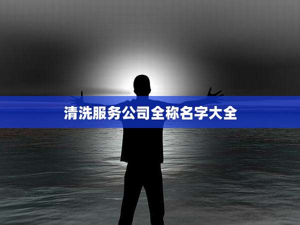清洗服务公司全称名字大全