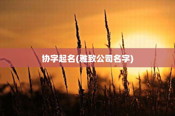 协字起名(雅致公司名字)
