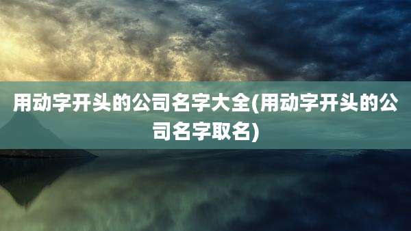 用动字开头的公司名字大全(用动字开头的公司名字取名)