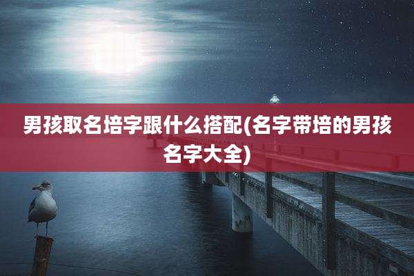 男孩取名培字跟什么搭配(名字带培的男孩名字大全)