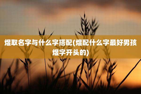 煜取名字与什么字搭配(煜配什么字最好男孩煜字开头的)