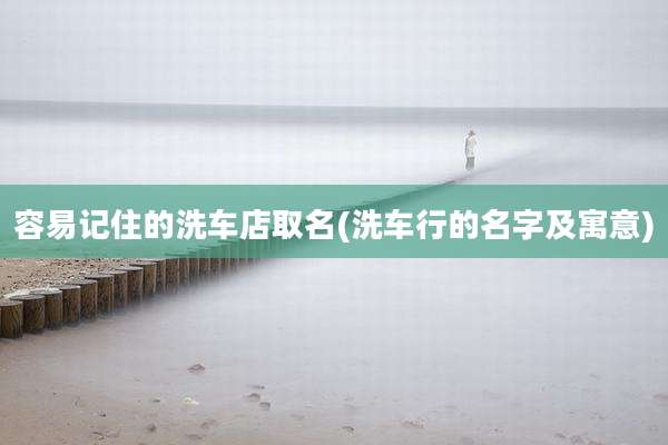 容易记住的洗车店取名(洗车行的名字及寓意)