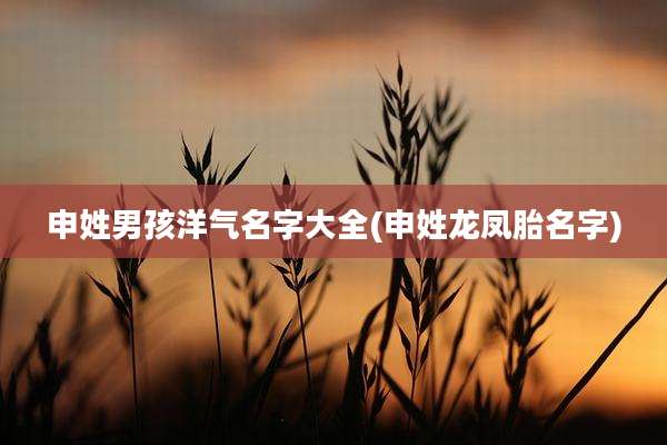 申姓男孩洋气名字大全(申姓龙凤胎名字)