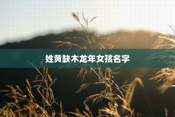 姓黄缺木龙年女孩名字