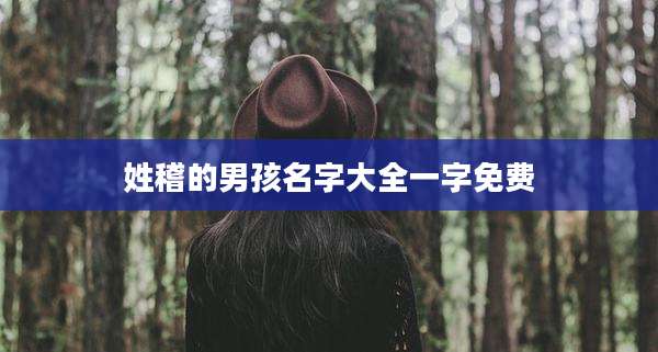 姓稽的男孩名字大全一字免费