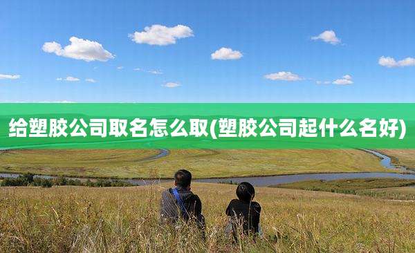 给塑胶公司取名怎么取(塑胶公司起什么名好)