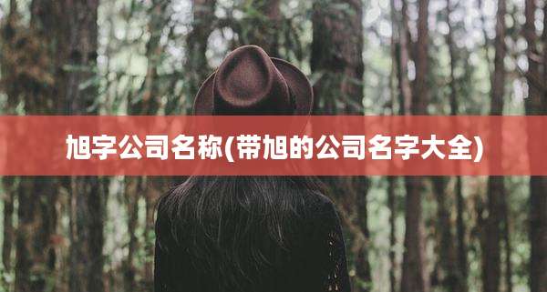 旭字公司名称(带旭的公司名字大全)