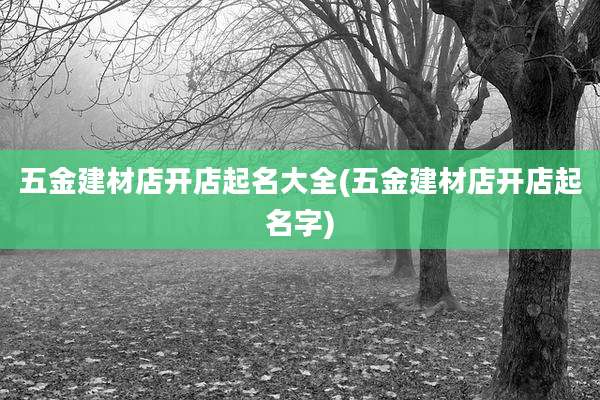 五金建材店开店起名大全(五金建材店开店起名字)