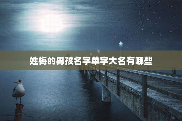 姓梅的男孩名字单字大名有哪些