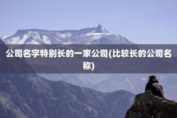 公司名字特别长的一家公司(比较长的公司名称)