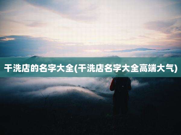 干洗店的名字大全(干洗店名字大全高端大气)