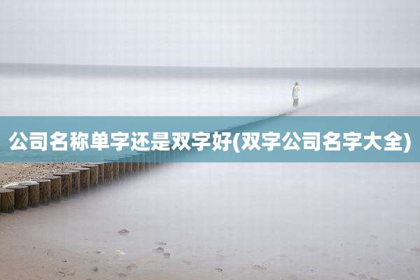 公司名称单字还是双字好(双字公司名字大全)