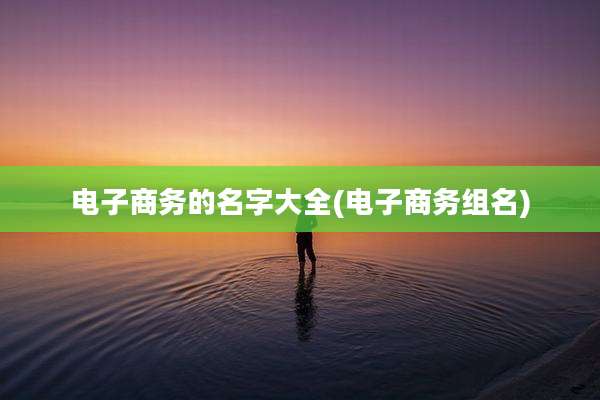 电子商务的名字大全(电子商务组名)
