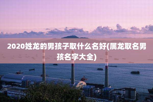 2020姓龙的男孩子取什么名好(属龙取名男孩名字大全)