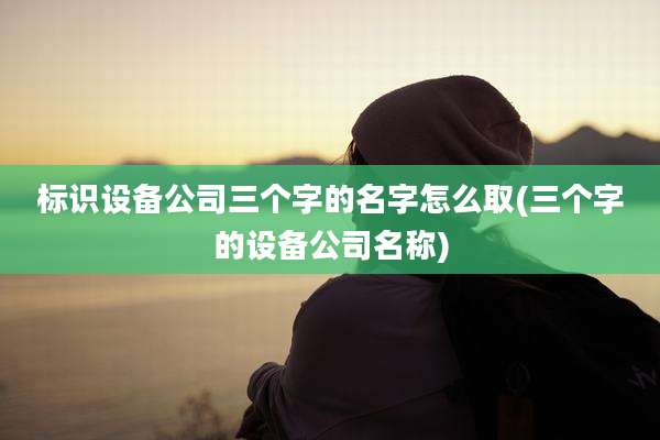 标识设备公司三个字的名字怎么取(三个字的设备公司名称)