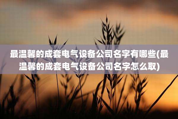 最温馨的成套电气设备公司名字有哪些(最温馨的成套电气设备公司名字怎么取)