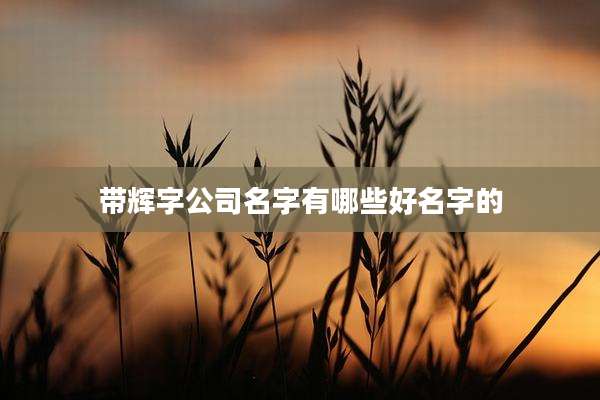 带辉字公司名字有哪些好名字的