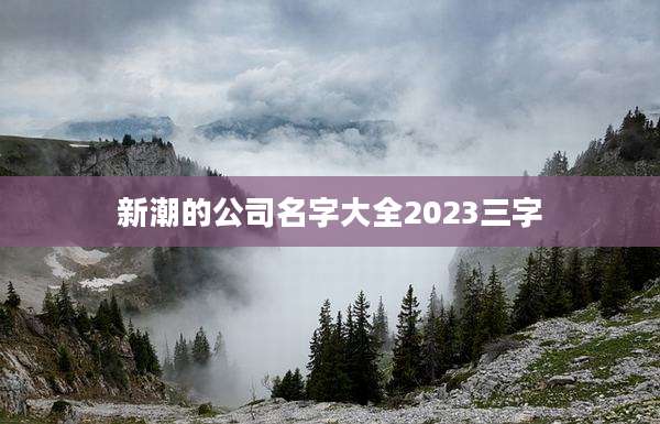 新潮的公司名字大全2023三字