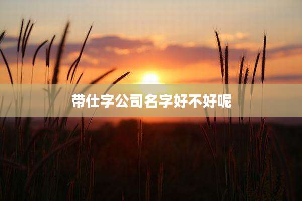 带仕字公司名字好不好呢