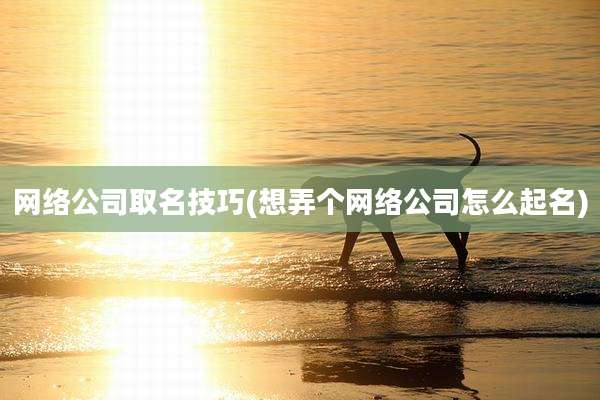 网络公司取名技巧(想弄个网络公司怎么起名)