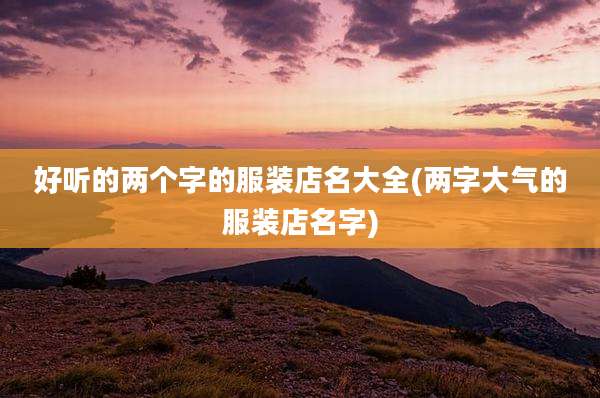 好听的两个字的服装店名大全(两字大气的服装店名字)