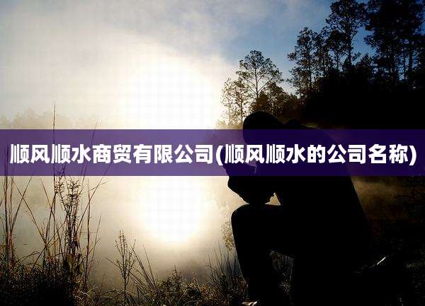 顺风顺水商贸有限公司(顺风顺水的公司名称)