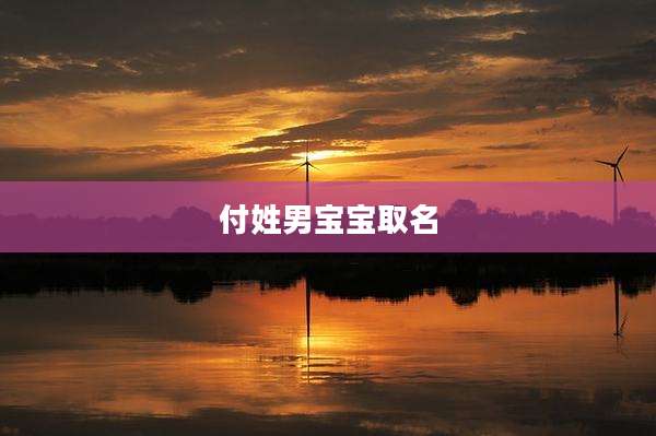 付姓男宝宝取名