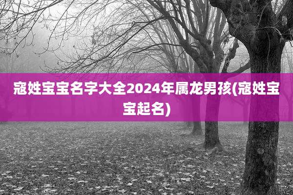 寇姓宝宝名字大全2024年属龙男孩(寇姓宝宝起名)