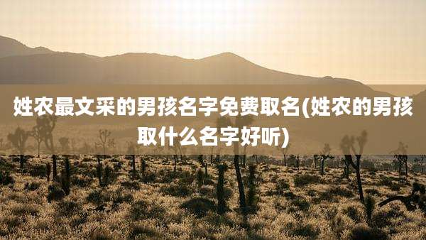 姓农最文采的男孩名字免费取名(姓农的男孩取什么名字好听)
