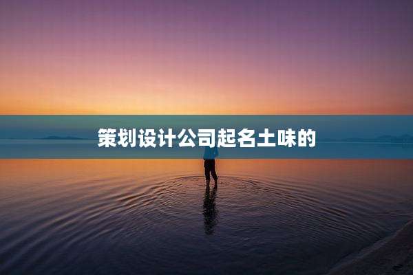 策划设计公司起名土味的