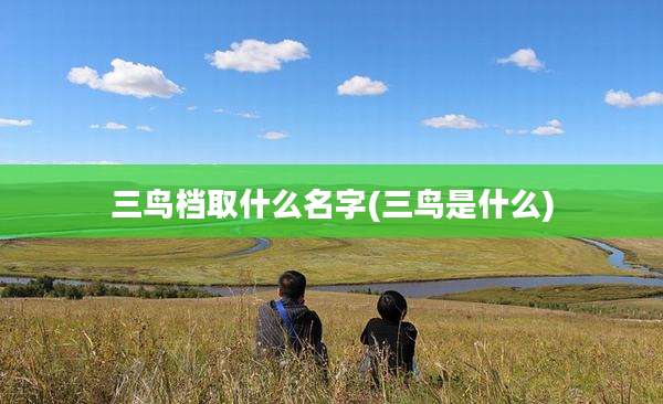 三鸟档取什么名字(三鸟是什么)