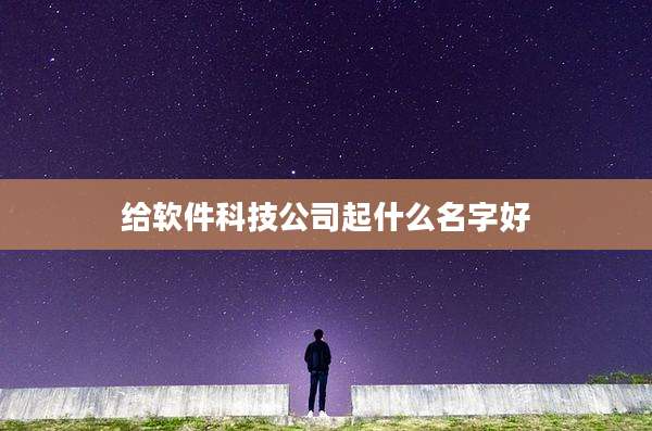 给软件科技公司起什么名字好