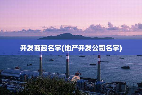 开发商起名字(地产开发公司名字)