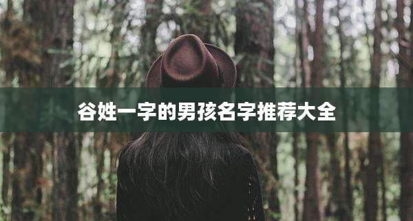 谷姓一字的男孩名字推荐大全