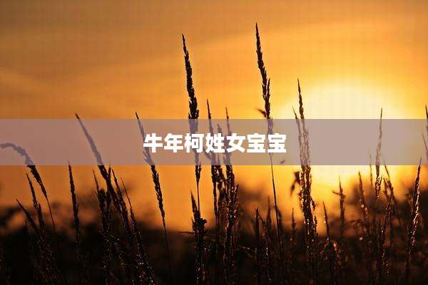 牛年柯姓女宝宝