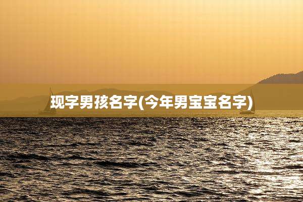 现字男孩名字(今年男宝宝名字)