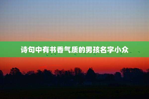 诗句中有书香气质的男孩名字小众