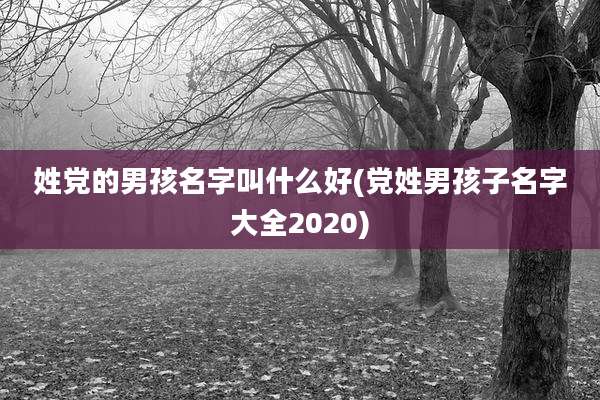 姓党的男孩名字叫什么好(党姓男孩子名字大全2020)
