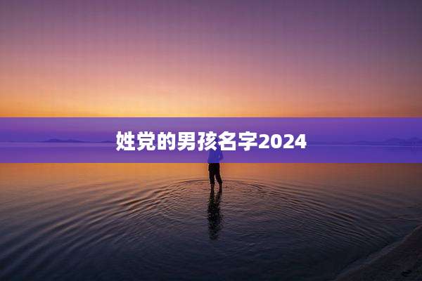 姓党的男孩名字2024
