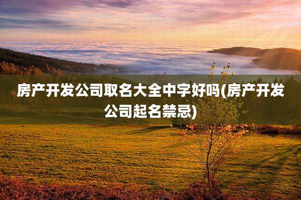 房产开发公司取名大全中字好吗(房产开发公司起名禁忌)