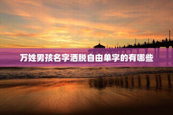 万姓男孩名字洒脱自由单字的有哪些